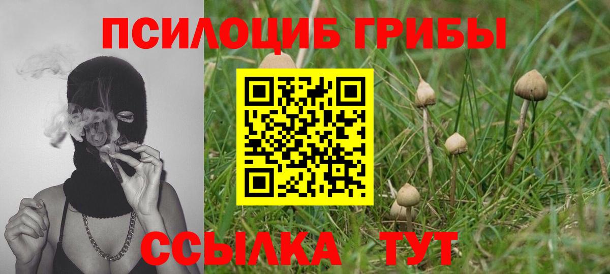 Нижний Тагил  Галлюциногенные грибы GOLDEN TEACHER  Вход с VPN 